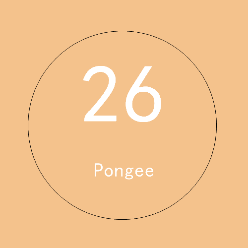 Fond Photo Papier Peint 2,72x11m